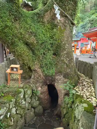 熊野那智大社(和歌山県)