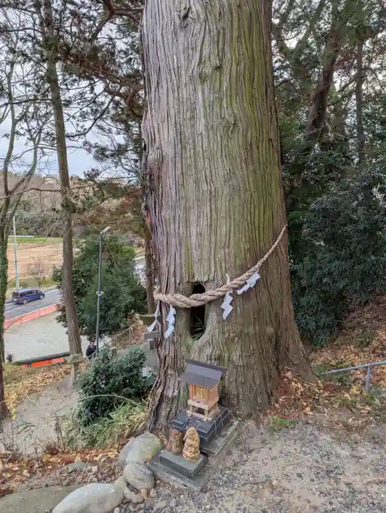 阿久津「田村神社」(郡山市阿久津町)旧社名:伊豆箱根三嶋三社(福島県)