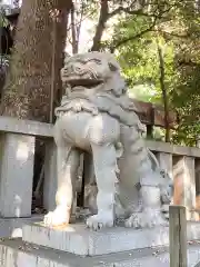 渋谷氷川神社の狛犬