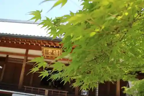 根来寺 智積院の本殿