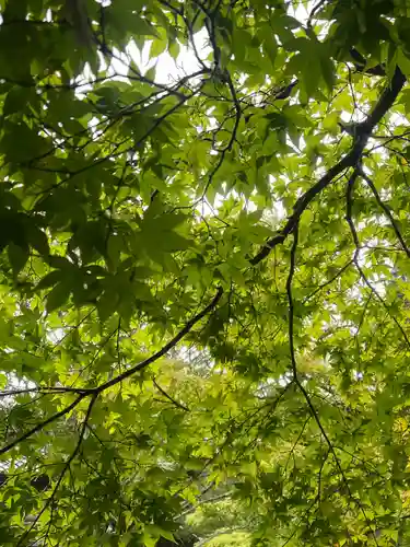 西芳寺(京都府)