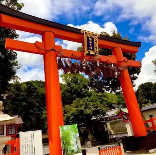 松尾大社の鳥居