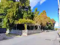 神明社(祖父江神明社)の自然