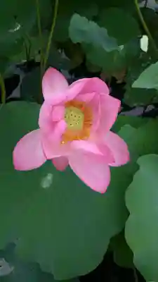 能仁寺(埼玉県)