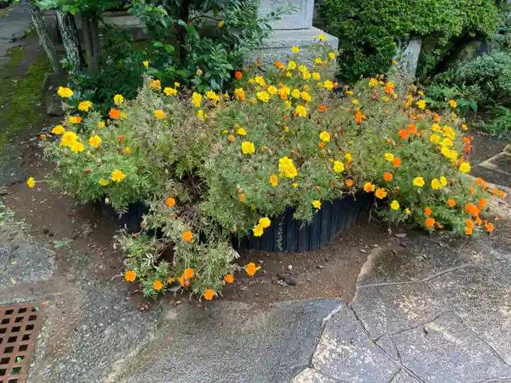 眞徳寺(神奈川県)