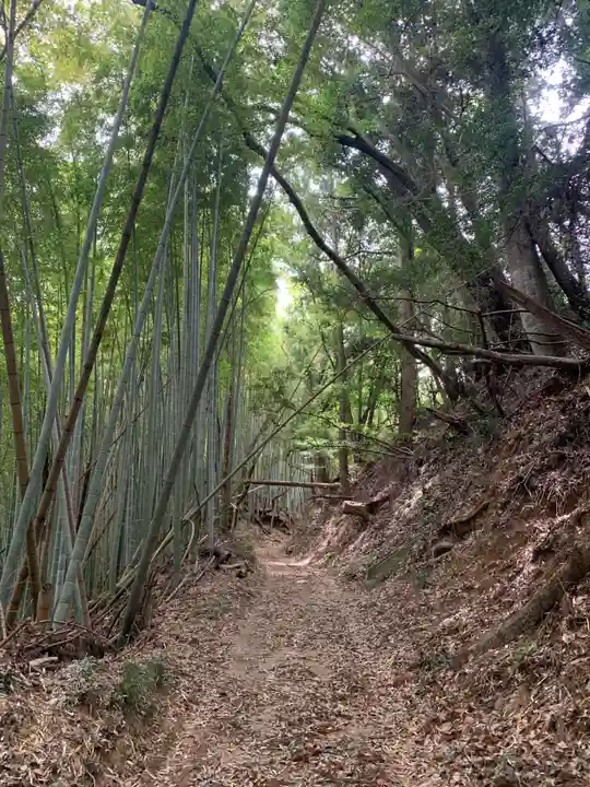 水神社(千葉県)