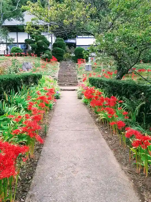 如意輪寺の建物その他