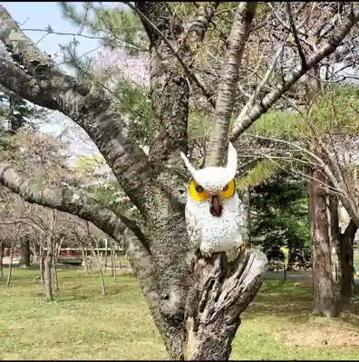 札幌護國神社の像