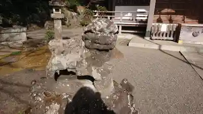 貫井神社の狛犬