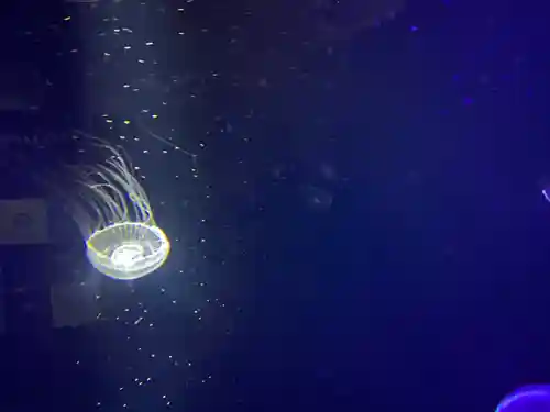 出羽神社(出羽三山神社)～三神合祭殿～(山形県)