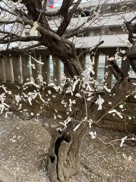氷川鍬神社の{uncategorized: "未分類", other: "その他", undefined: "問題あり", building: "その他建物", grave: "お墓", sacred_gate: "鳥居", guardian: "狛犬", statue: "像", buddha: "仏像", history: "歴史", nature: "自然", garden: "庭園", animal: "動物", pagoda: "塔", temizu: "手水舎", mountain_gate: "山門・神門", sanctuary: "本殿・本堂", subordinate: "末社・摂社", art: "芸術", scenery: "景色", jizo: "地蔵", ema: "絵馬", goshuin: "御朱印", omikuji: "おみくじ", items: "授与品その他", amulet: "お守り", goshuincho: "御朱印帳", eats: "食事", festival: "お祭り", votive_dance: "神楽", shichigosan: "七五三参", wedding: "結婚式", experience: "体験その他", initially: "初詣", around: "周辺", anti_infection: "感染症対策"}
