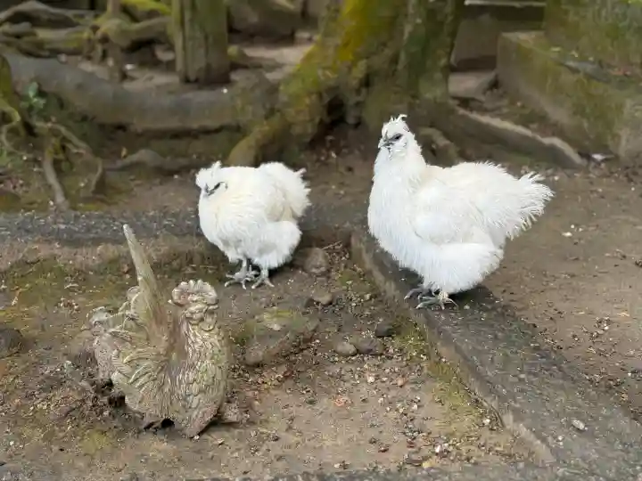 石上神宮(奈良県)