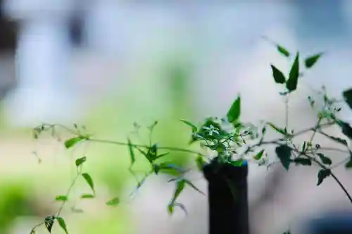 浄土寺(兵庫県)