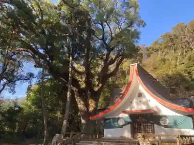 宍喰八坂神社(徳島県)