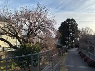 宝泉院(千葉県)