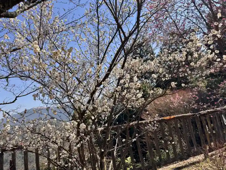 施福寺(大阪府)