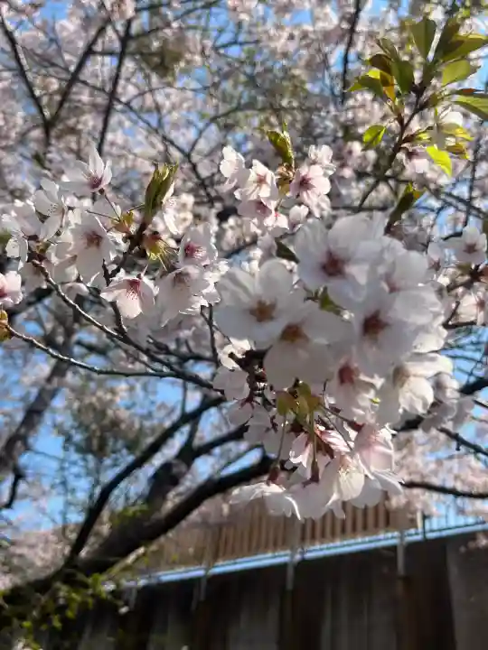 千歳神社(北海道)