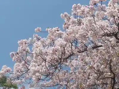 平塚三嶋神社(神奈川県)
