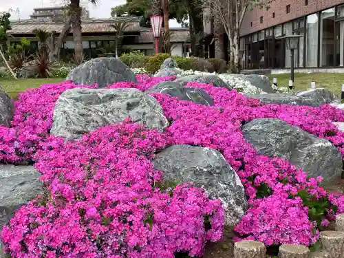 箭弓稲荷神社の{uncategorized: "未分類", other: "その他", undefined: "問題あり", building: "その他建物", grave: "お墓", sacred_gate: "鳥居", guardian: "狛犬", statue: "像", buddha: "仏像", history: "歴史", nature: "自然", garden: "庭園", animal: "動物", pagoda: "塔", temizu: "手水舎", mountain_gate: "山門・神門", sanctuary: "本殿・本堂", subordinate: "末社・摂社", art: "芸術", scenery: "景色", jizo: "地蔵", ema: "絵馬", goshuin: "御朱印", omikuji: "おみくじ", items: "授与品その他", amulet: "お守り", goshuincho: "御朱印帳", eats: "食事", festival: "お祭り", votive_dance: "神楽", shichigosan: "七五三参", wedding: "結婚式", experience: "体験その他", initially: "初詣", around: "周辺", anti_infection: "感染症対策"}