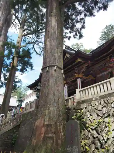 三峯神社の自然