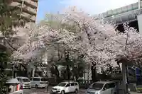 くまくま神社(導きの社 熊野町熊野神社)の自然