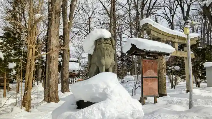 旭川神社の狛犬