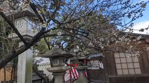 北野天満宮(京都府)