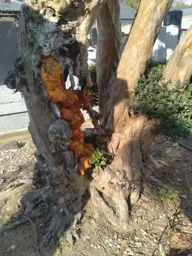 安養院(宮城県)