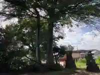 氷川台氷川神社(東京都)