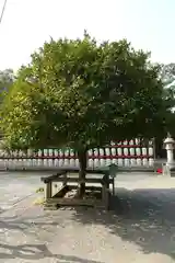 平野神社の自然