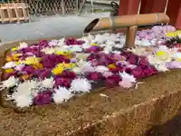 鶴岡八幡宮の手水舎