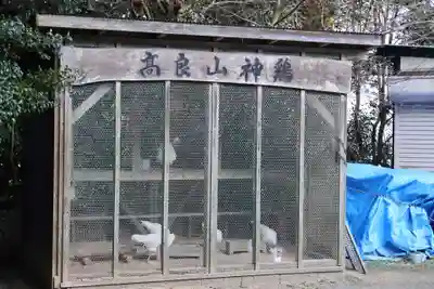 高良大社(福岡県)