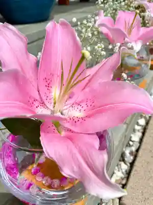 伊達神社の手水舎