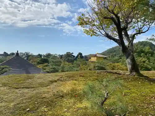 鹿苑寺（金閣寺）(京都府)