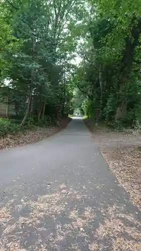 安房神社の周辺