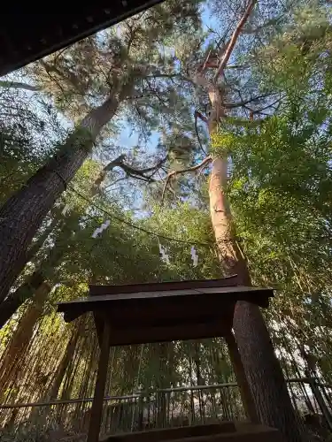 自由が丘熊野神社の{uncategorized: "未分類", other: "その他", undefined: "問題あり", building: "その他建物", grave: "お墓", sacred_gate: "鳥居", guardian: "狛犬", statue: "像", buddha: "仏像", history: "歴史", nature: "自然", garden: "庭園", animal: "動物", pagoda: "塔", temizu: "手水舎", mountain_gate: "山門・神門", sanctuary: "本殿・本堂", subordinate: "末社・摂社", art: "芸術", scenery: "景色", jizo: "地蔵", ema: "絵馬", goshuin: "御朱印", omikuji: "おみくじ", items: "授与品その他", amulet: "お守り", goshuincho: "御朱印帳", eats: "食事", festival: "お祭り", votive_dance: "神楽", shichigosan: "七五三参", wedding: "結婚式", experience: "体験その他", initially: "初詣", around: "周辺", anti_infection: "感染症対策"}