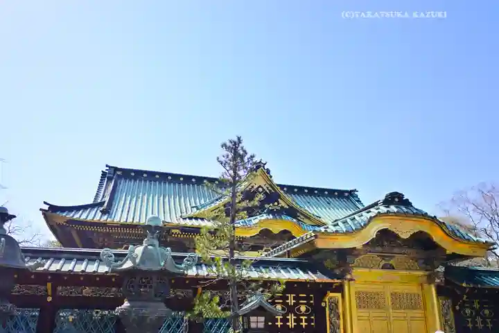 上野東照宮(東京都)