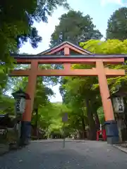 日吉大社の鳥居