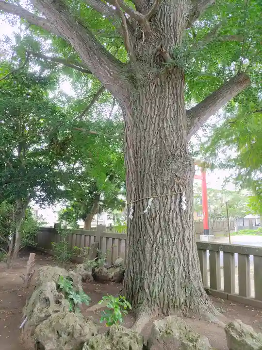 金刀比羅神社(千葉県)