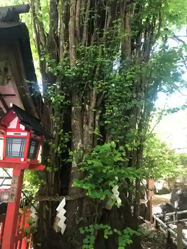 貴船神社(京都府)