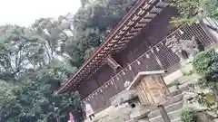 宇治上神社(京都府)