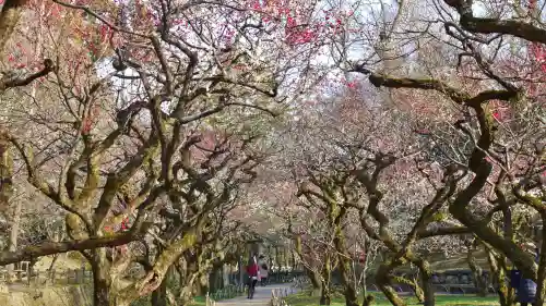 北野天満宮の庭園