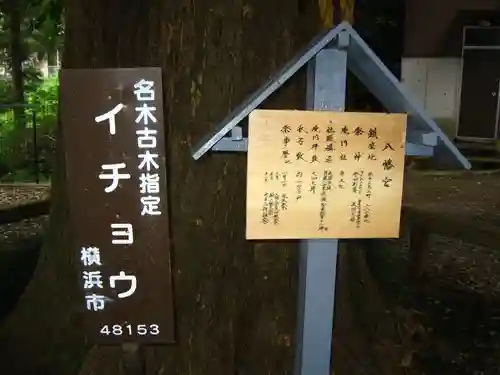 八幡宮(神奈川県)