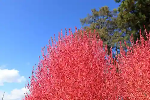 高司神社〜むすびの神の鎮まる社〜の周辺