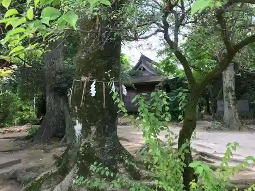 筑紫神社(福岡県)