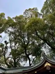 杭全神社(大阪府)