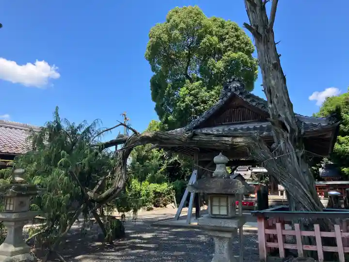 梅田神社(京都府)