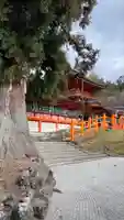 春日大社(奈良県)