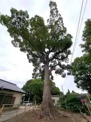 都波岐奈加等神社(三重県)