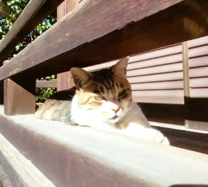 荻窪白山神社(東京都)